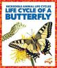 Life_Cycle_of_a_Butterfly