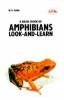 A_Basic_Book_of_Amphibians_Look-and-Learn