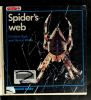 Spider_s_web