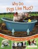 Why_do_pigs_like_mud_