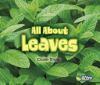 All_about_leaves