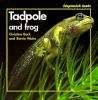 Tadpole_and_frog