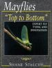 Mayflies___top_to_bottom_