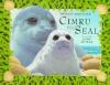 Cimru_the_seal