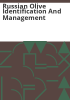 Russian_olive_identification_and_management