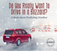 Do_you_really_want_to_drive_in_a_blizzard_