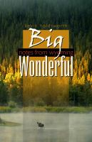 Big_wonderful