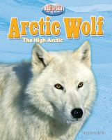 Arctic_wolf