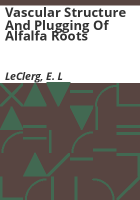 Vascular_structure_and_plugging_of_alfalfa_roots