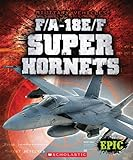 F_A-18E_F_Super_Hornets