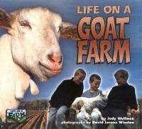 Life_on_a_goat_farm
