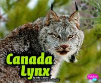 Canada_lynx