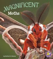 Magnificent_moths