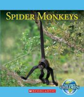 Spider_monkeys