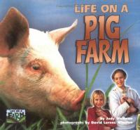 Life_on_a_pig_farm