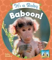 It_s_a_baby_baboon_
