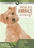What_are_the_animals_thinking_