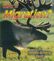What_is_migration_