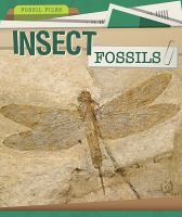 Insect_fossils