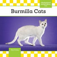 Burmilla_cats