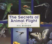 The_secrets_of_animal_flight