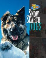 Snow_Search_Dogs