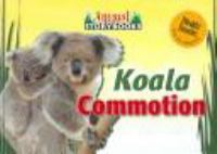 Koala_commotion
