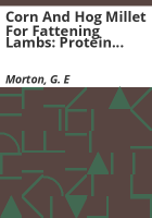 Corn_and_hog_millet_for_fattening_lambs