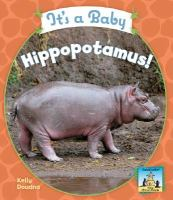 It_s_a_Baby_Hippopotamus_