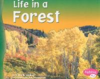 Life_in_a_Forest