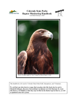 Colorado_State_Parks_raptor_monitoring_handbook