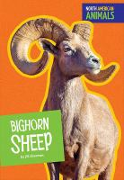 Bighorn_sheep