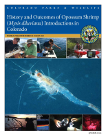 History_and_outcomes_of_opossum_shrimp__Mysis_diluviana__introductions_in_Colorado