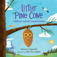 Little_pine_cone