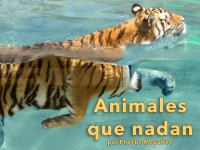 Animales_que_nadan