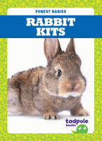Rabbit_kits