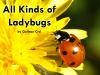 All_Kinds_of_Ladybugs