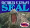 Southern_elephant_seal