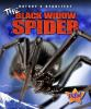 The_black_widow_spider__Nature_s_Deadliest_