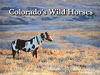 Colorado_s_wild_horses