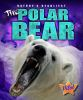 Polar_Bear__Nature_s_Deadliest_