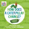 How_does_a_caterpillar_change_