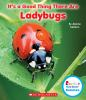 It_s_a_good_thing_there_are_ladybugs