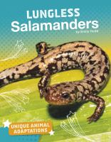 Lungless_salamanders