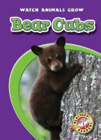 Bear_cubs