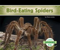 Bird-eating_spiders