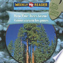 How_pine_trees_grow