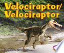 Velociraptor__