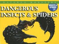 Dangerous_insects___spiders