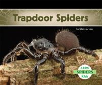Trapdoor_spiders